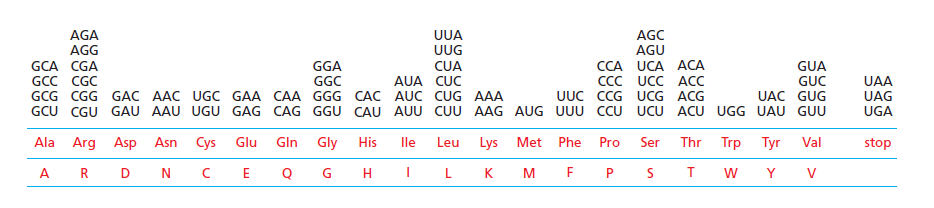 Figure 6-48.png